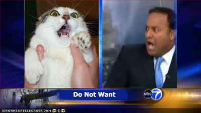 I\'d probably leave the TV on if more stuff like this was on there.