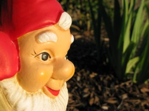 Our little garden friend. He sits in the iris bed along the holly bushes.