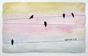birdsonwire