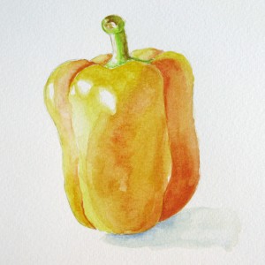 Yellow Pepper